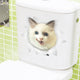 Vivid 3d Hole Animal Toilet Stickers