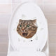 Vivid 3d Hole Animal Toilet Stickers