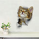 Vivid 3d Hole Animal Toilet Stickers