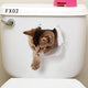 Vivid 3d Hole Animal Toilet Stickers