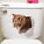 Vivid 3d Hole Animal Toilet Stickers