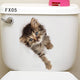 Vivid 3d Hole Animal Toilet Stickers