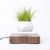 Air Bonsai Rotation Flower Pot