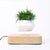 Air Bonsai Rotation Flower Pot