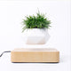 Air Bonsai Rotation Flower Pot