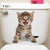 Vivid 3d Hole Animal Toilet Stickers