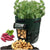 Potato Grow Container Bag
