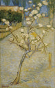 Cafe Terrace At Night Oil Painting