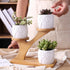 Ceramic Garden Modern Decorative Pots