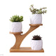 Ceramic Garden Modern Decorative Pots